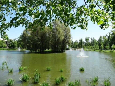 Na Kozim Stawie nie można łowić ryb